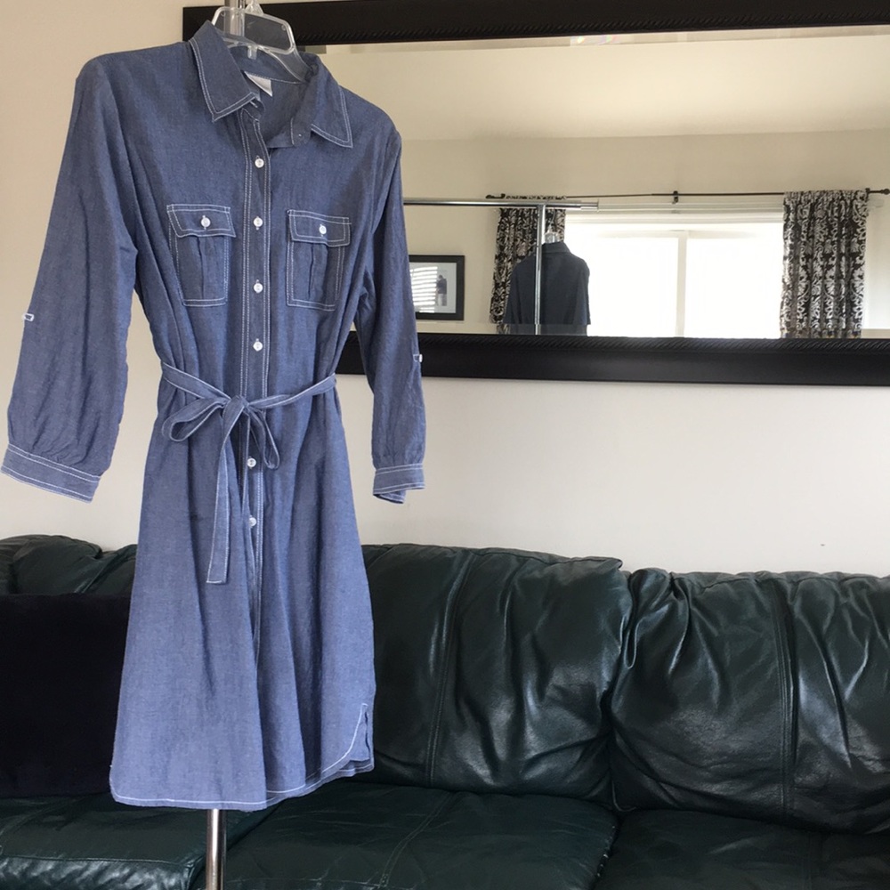 Maternity jean dress